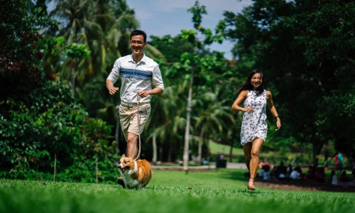 7 Tips For Returning to Normal After The Pandemic