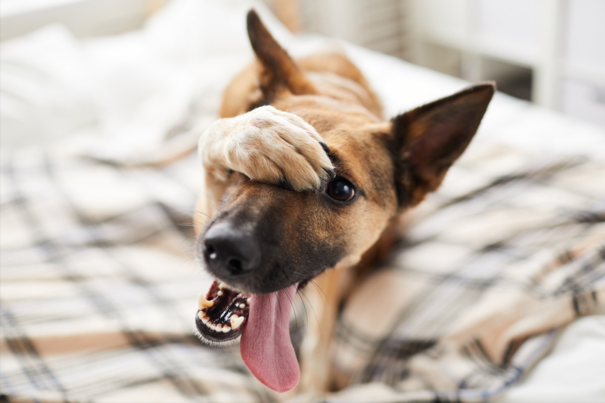 Why Embarrassment Can Be a Good Thing